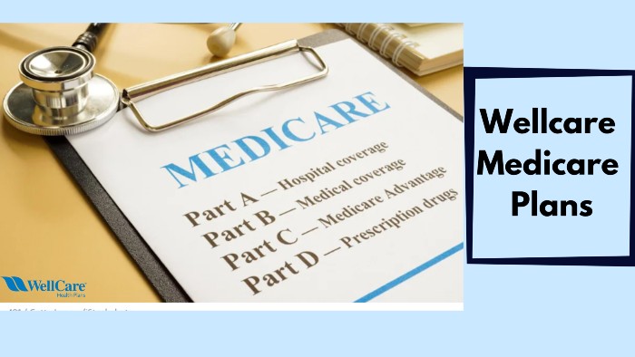 Wellcare Medicare